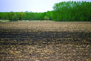 35% crop residue cover