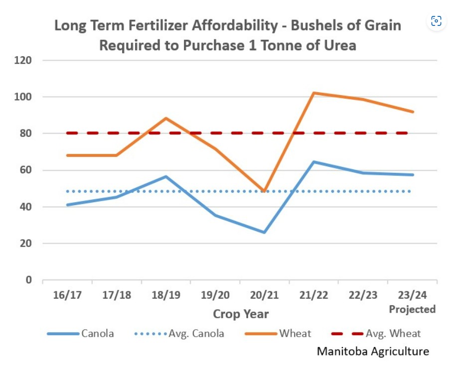 A graph showing that how much Bushels of Grain required to purchase 1 tonne of Urea from 2016 to 2024