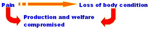 the well being and health status of the animal is compromised alongside production losses