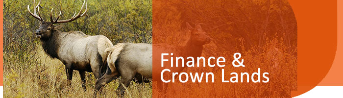 finance banner