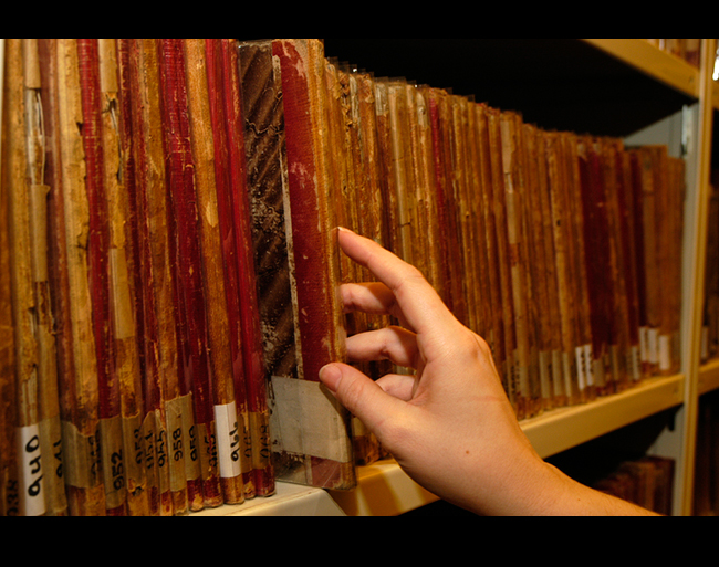 photo of a person's hand grabbing a book off a shelf